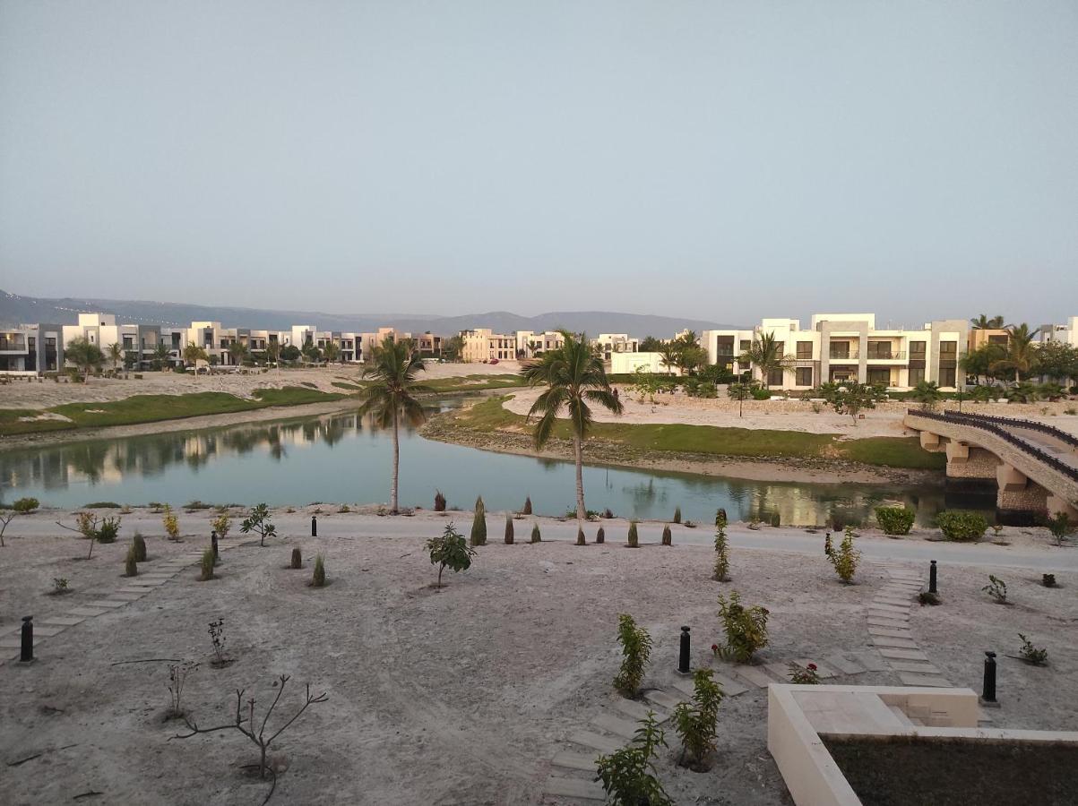 Star Hawana Forest Island