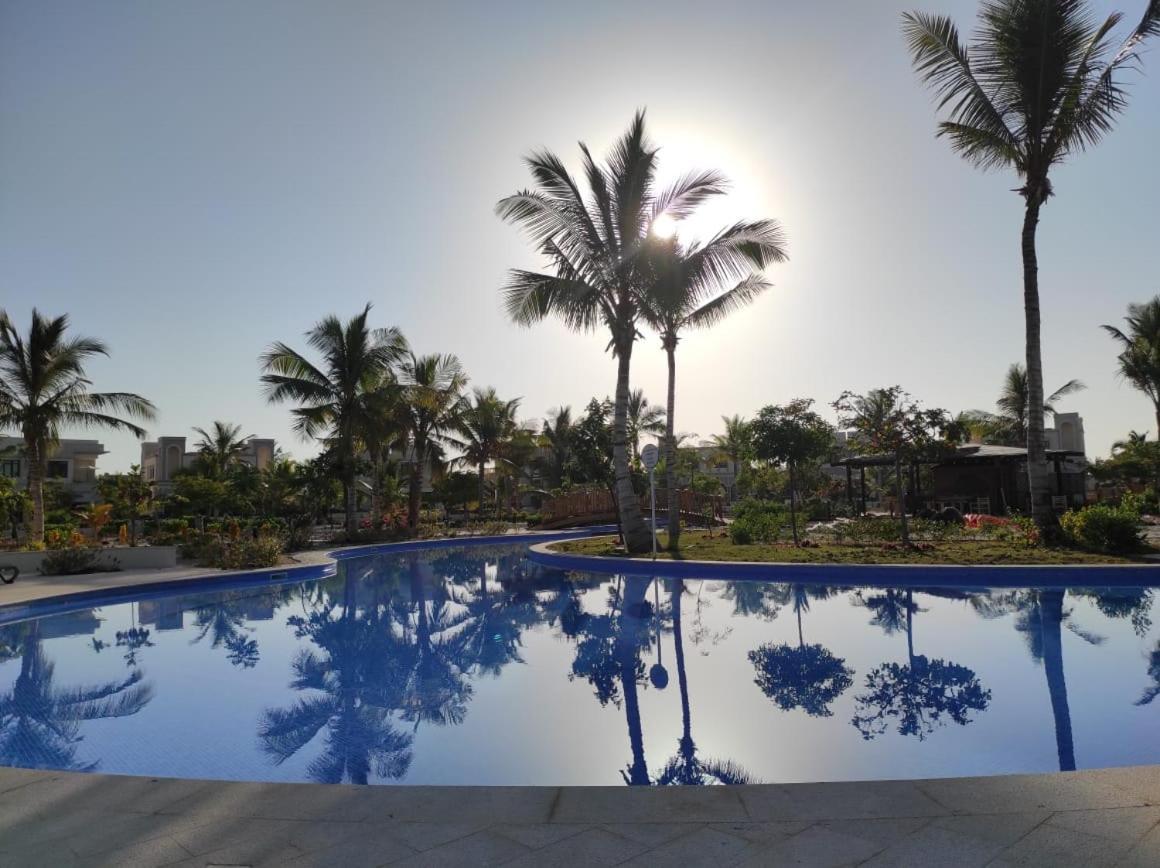 Star Hawana Forest Island *